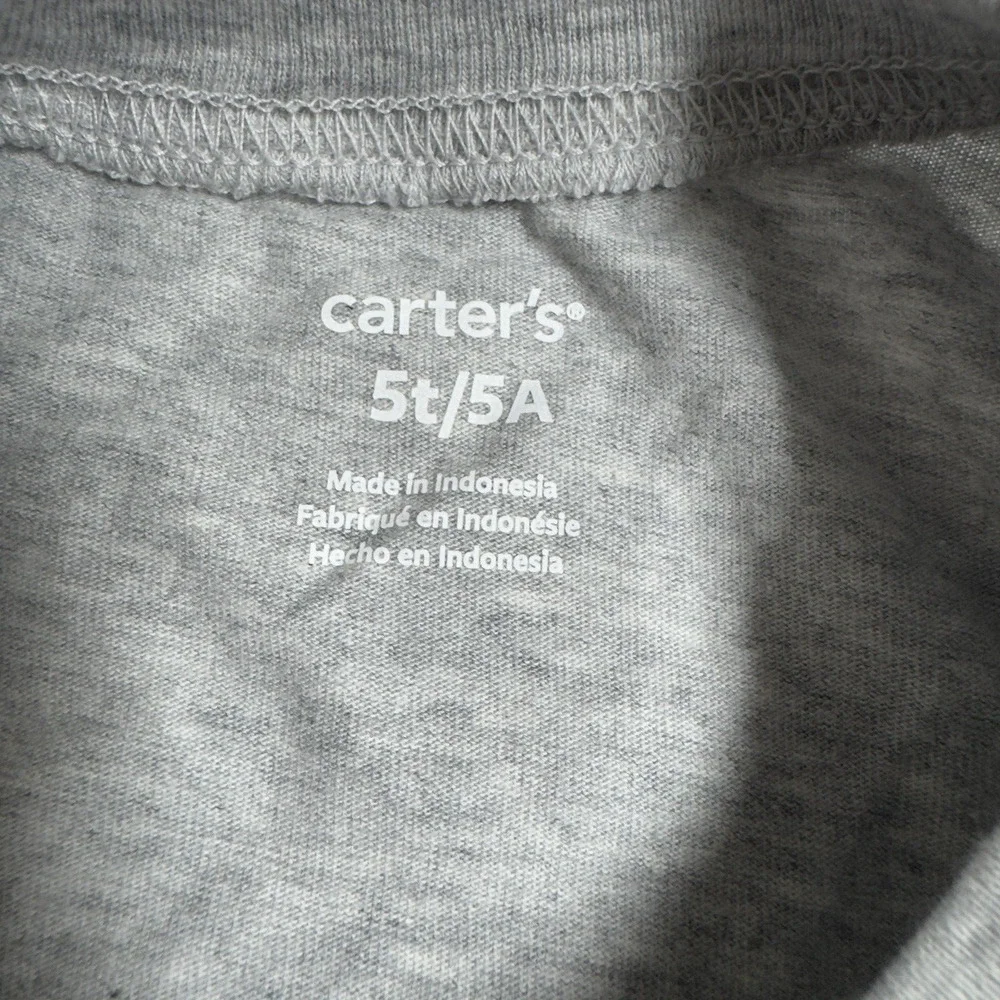 Carter's COOLEST BROTHER Long Sleeve Graphic Shirt Boy's Size 5T Gray
